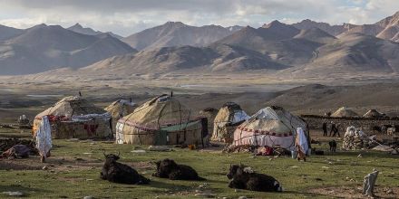 Afghanistan’s Pastoral Crisis: A Blind Spot in Humanitarian, Development and Policy Frameworks