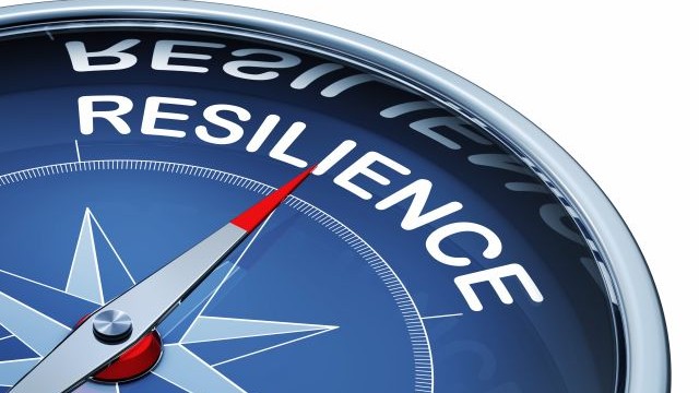 Democratic Resilience