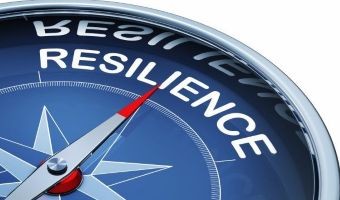 Democratic Resilience