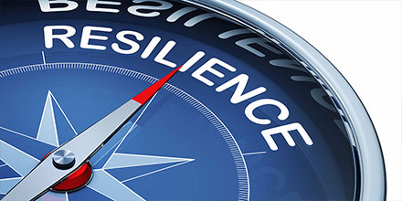 What is Democratic Resilience and How Can We Strengthen It?