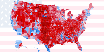 The US in 2024: An Election That Worked and a Democracy That Doesn’t
